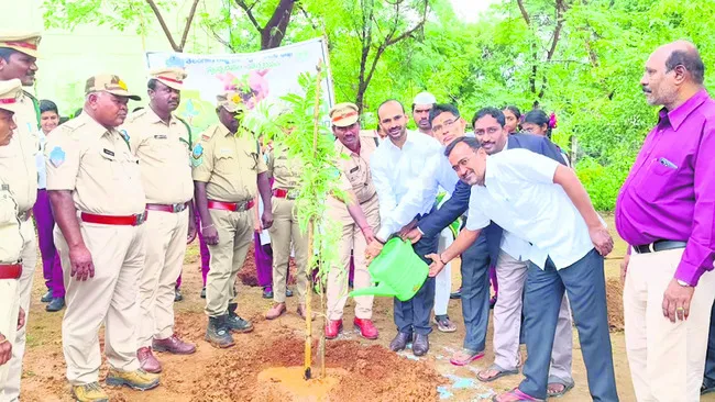 మానవ మనుగడకు మొక్కలు మేలు