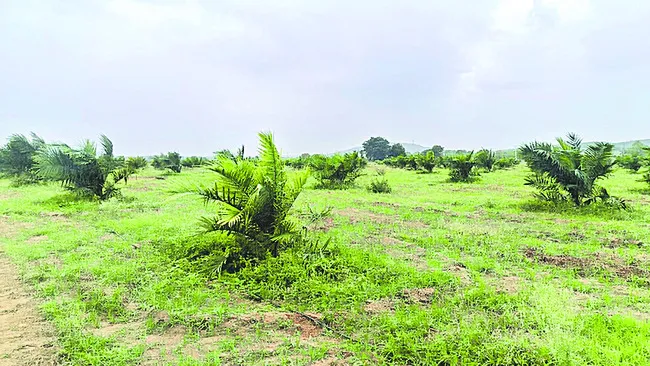 చూపు.