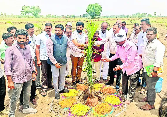 ఆయిల్‌పామ్‌ సాగుపై రైతుల ఆసక్తి