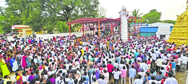 వైభవం.. పెరుగుబసంతం
