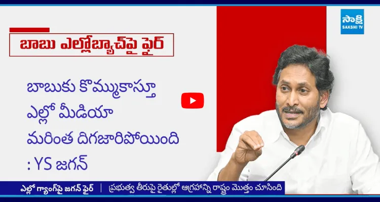 బాబు ఎల్లో గ్యాంగ్ పై వైఎస్ జగన్ ఫైర్