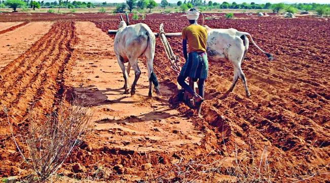 సుడి‘గండం’లో ఏరువాక 