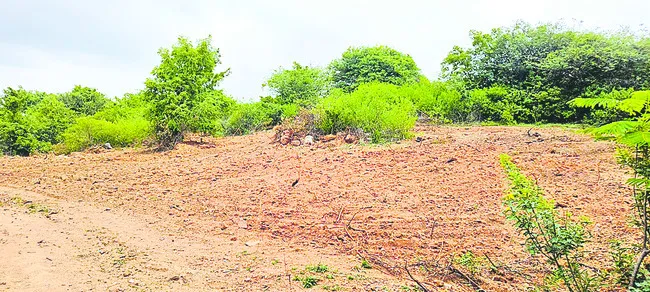 గురుక