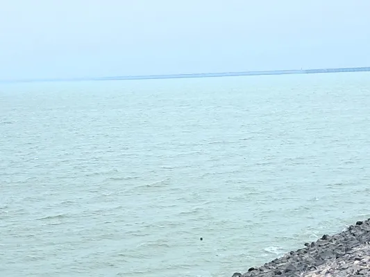 ఎస్సారెస్పీలో 20 టీఎంసీలు దాటిన నీటినిల్వ