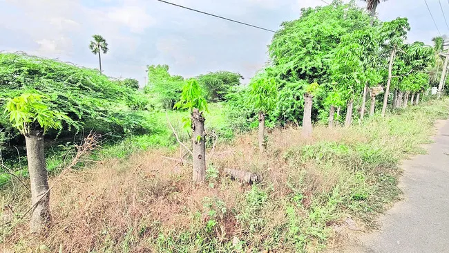 లెక్క