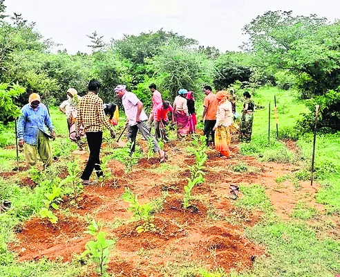 83.29శాతం