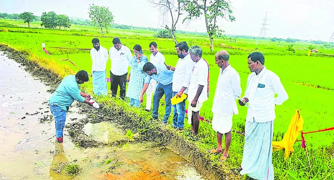 నానో యూరియా, డీఏపీతో ప్రయోజనాలు