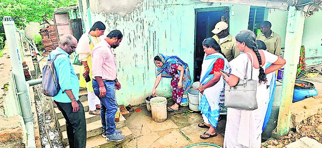 సీజనల