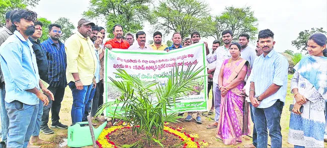 ఆయిల్పామ్ సాగుతో లాభాలు