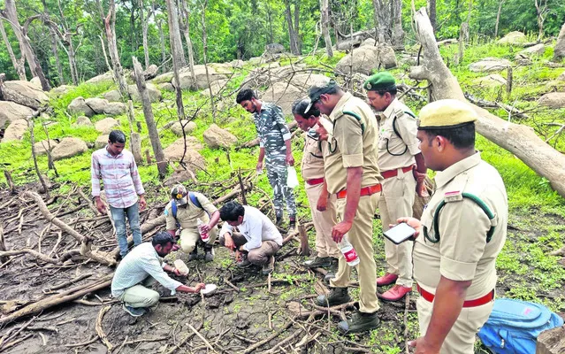 తాటిపల్లి అడవుల్లో పెద్దపులి సంచారం