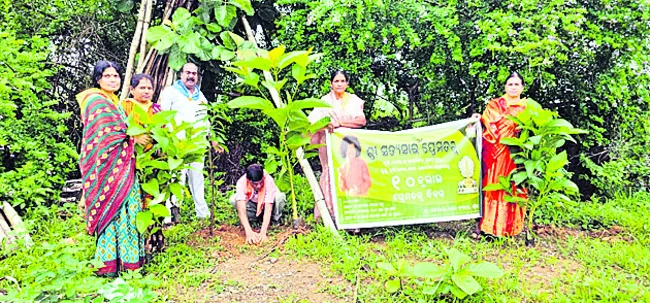 మొక్కలతోనే పర్యావరణ పరిరక్షణ