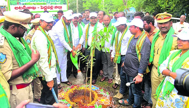 మొక్క