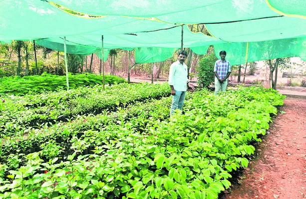 పచ్చదనమే లక్ష్యంగా..!