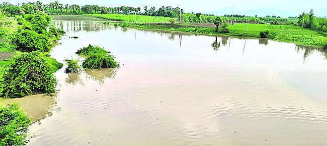 గోదావ
