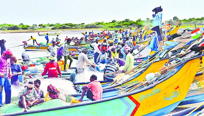 జీవన