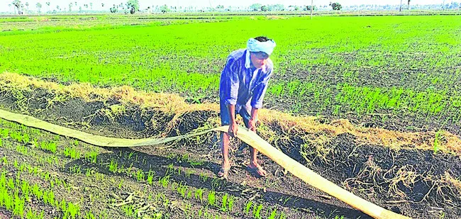 రైతన్