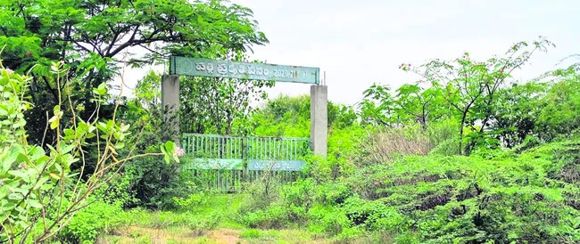 అధ్వా