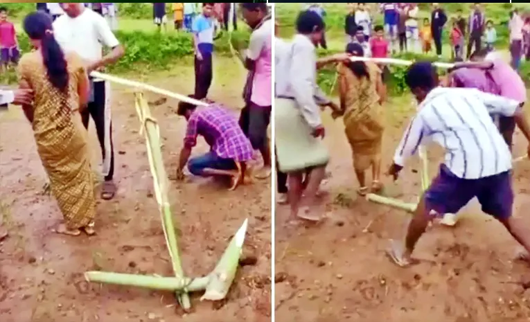 నాగలికి ప్రేమికులను కట్టి..  