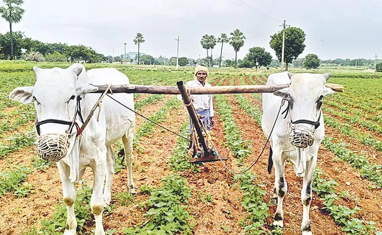 Telangana Farmers Worried Over Rain Deficit in State