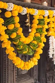 Do you know about veedhipotu effects according to vastu1