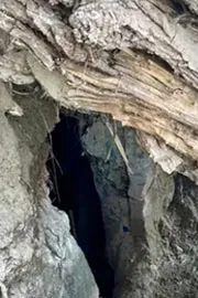 Russian Woman Found Living In Cave With 2 Daughters In Karnataka2