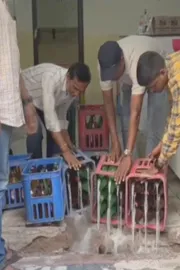 Excise Task Force Police Raids On Toddy Compounds In Hyderabad3