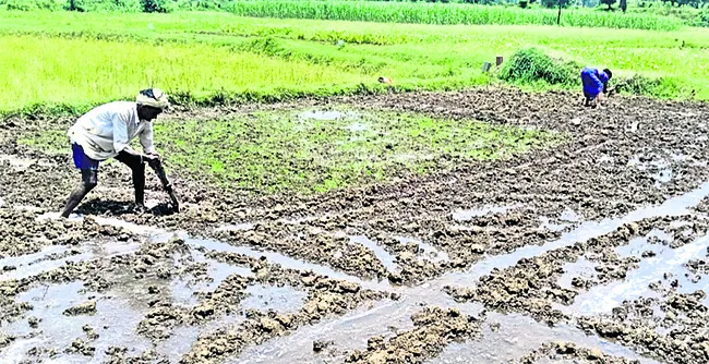 కష్టా