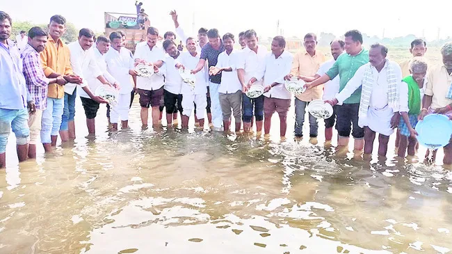 మత్స్
