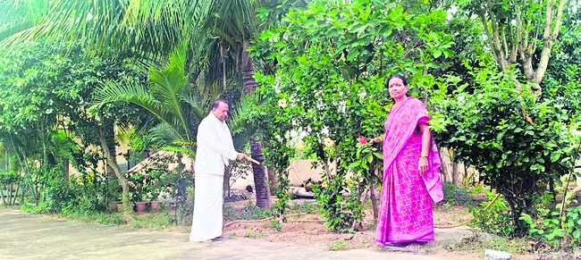 మొక్క‘రక్షణ’ మరువని లక్ష్మీనారాయణ