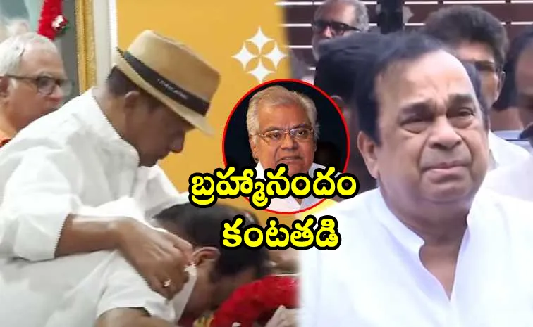 అరేయ్‌, ఒరేయ్‌ అనుకునేవాళ్లం.. ఏడ్చేసిన బ్రహ్మానందం