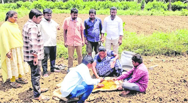 వైవిధ