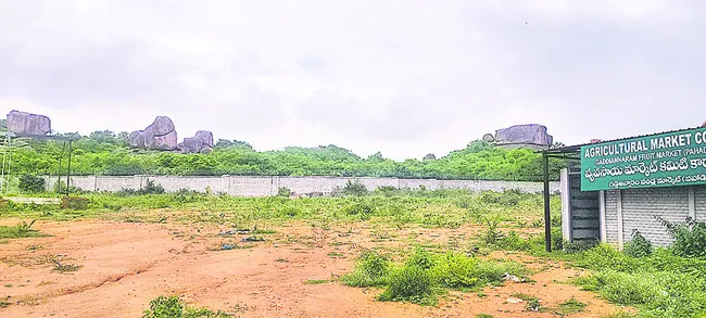 చిరుతల కోసం అన్వేషణ