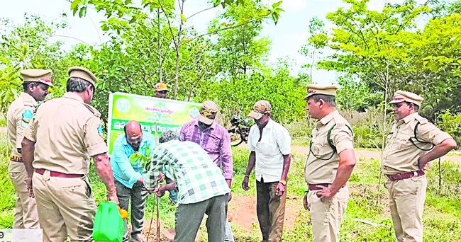 ముమ్మరంగా వనమహోత్సవం