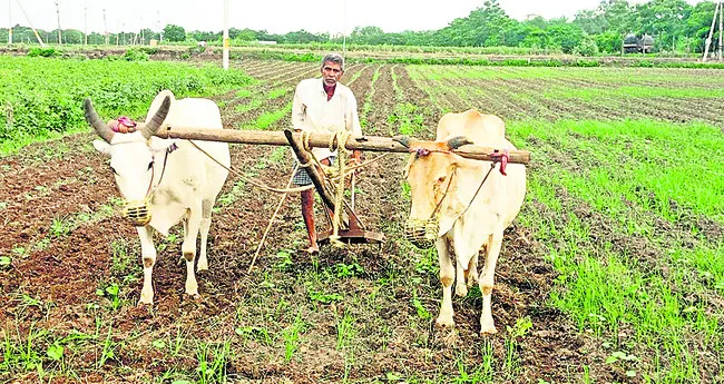 భరోసా
