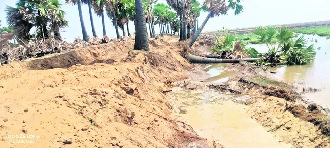 తీరంల