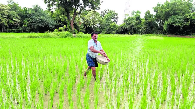 మితంగా వాడితేనే మేలు..