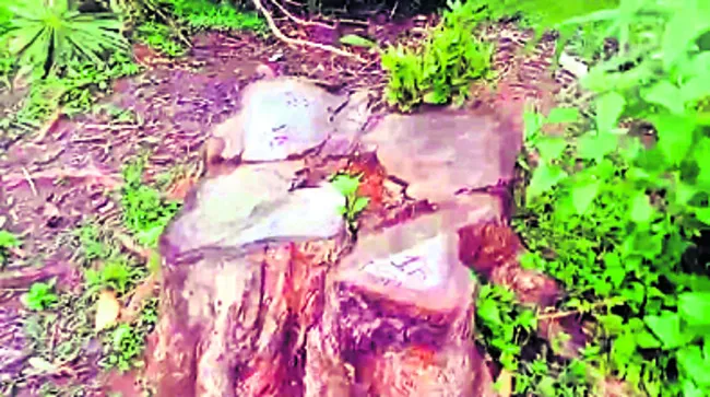 ఇద్దర