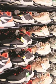 Taiwanese Vietnamese firms keen to invest in footwear sector in India CLE8