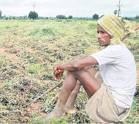 అన్నదాత దుఃఖీభవ