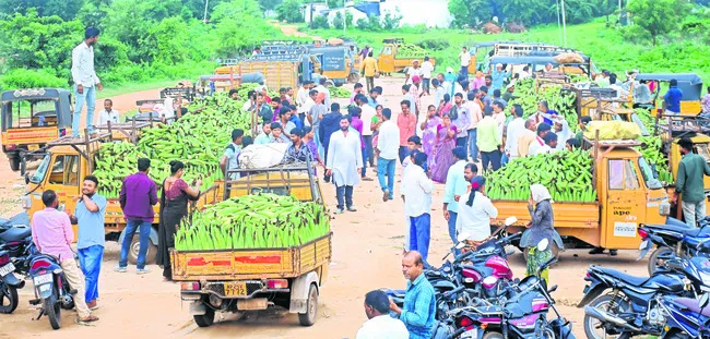 మొక్క