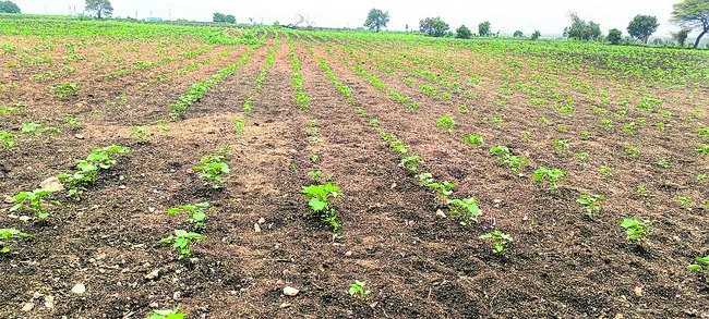 ఊరిస్తున్న మబ్బులు 