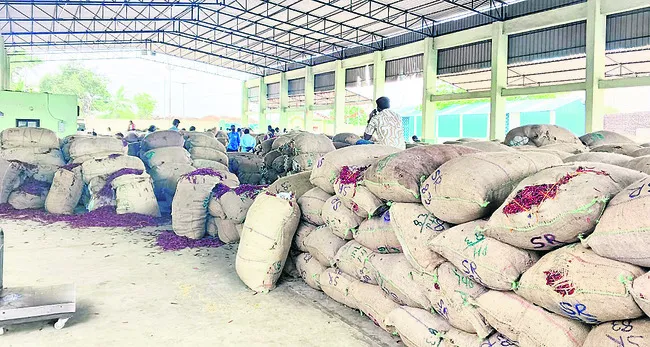 మిర్చి ధర ముందడుగు..