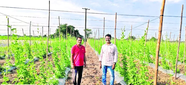 కూరగా