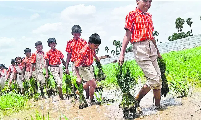 విద్యార్థుల ‘పొలం బాట’
