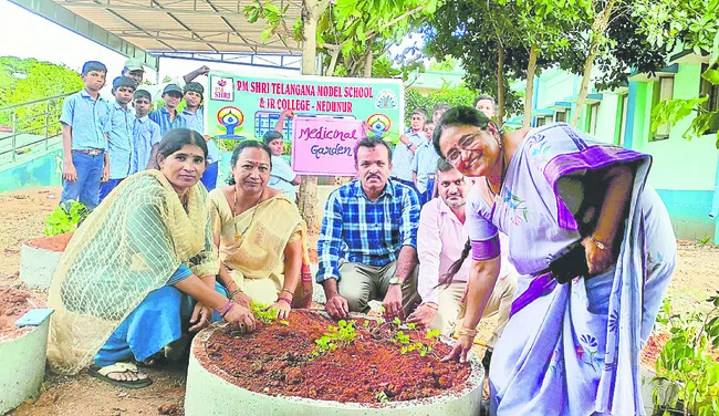 ఔషధ మొక్కలకు భారతదేశం పుట్టినిల్లు 