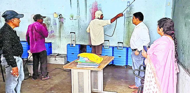 విస్త