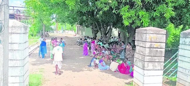 విద్య
