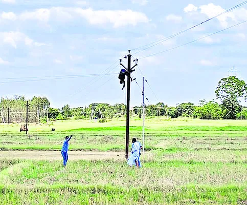 విద్యుదాఘాతంతో వలస కూలీ మృతి