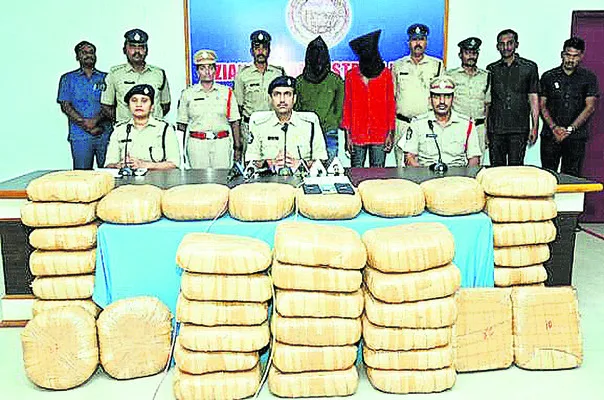 230 కిలోల గంజాయి సీజ్‌ 