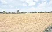 Effect of Drought on kharif Crop Production2